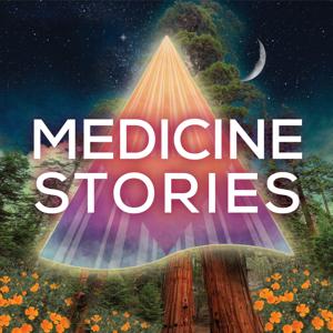 Medicine Stories by Amber Magnolia Hill