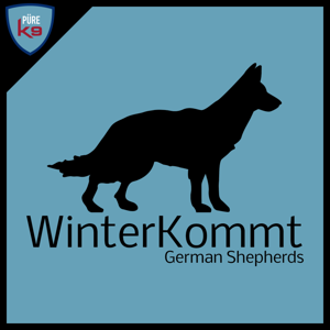 WinterKommt German Shepherds by Püre K9