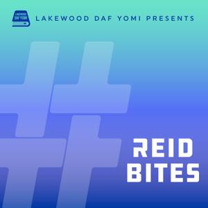 Lakewood Daf Yomi #DafBySruly Reid Bites by Sruly Bornstein