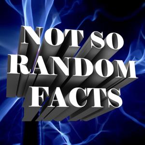 Not So Random Facts by Storyteller Entertainment