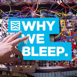 Why We Bleep by Mylar Melodies