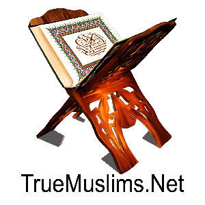 Mp3 Quran In English Language