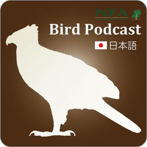 NFA Bird Podcast 日本語版
