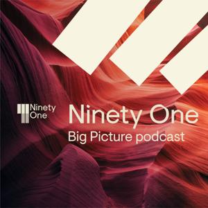 Ninety One | The Big Picture by Ninety One