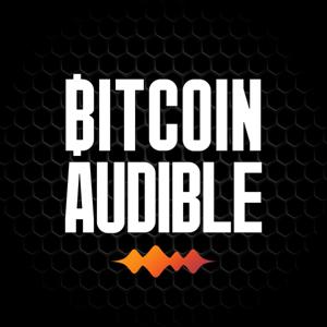 Bitcoin Audible by Guy Swann