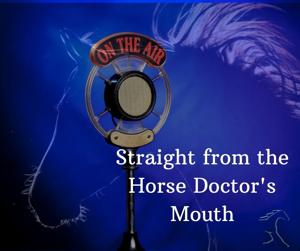 Straight from the Horse Doctor's Mouth by Dr. Erica Lacher and Justin Long