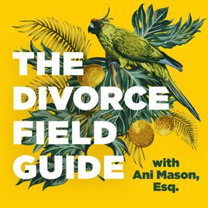 The Divorce Field Guide