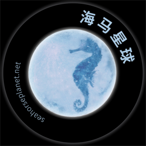 seahorseplanet.net by 李雯