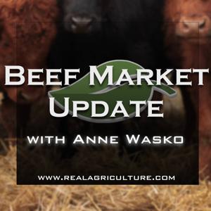 Beef Market Update by RealAgriculture