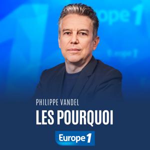 Les pourquoi - Philippe Vandel