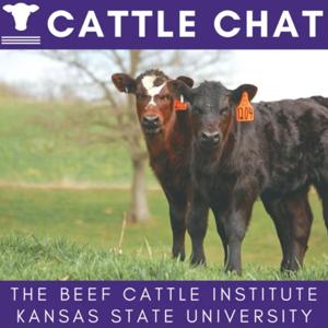 Cattle Chat by BCI Cattle Chat