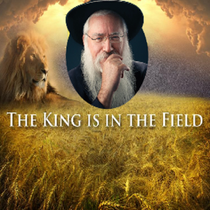 The King In The Field with Rabbi Manis Friedman by Rabbi Manis Friedman