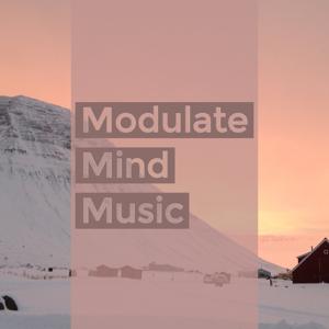 Modulate Mind Music: Combining music and meditation with deep reflection