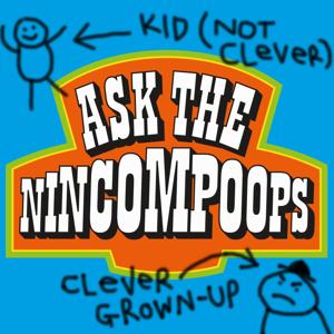 Ask The Nincompoops by Andy Stanton & Carrie Quinlan