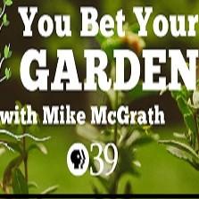 You Bet Your Garden by PBS39