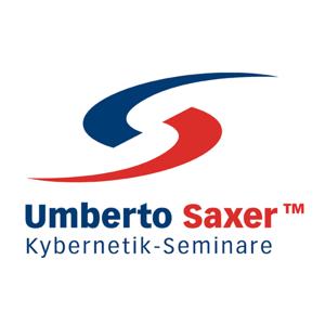 Umberto Saxers Verkaufskybernetik: Verkauf | Vertrieb | E-Learning