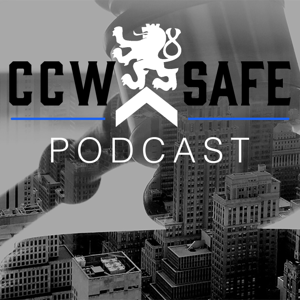 CCW Safe by Mike Darter