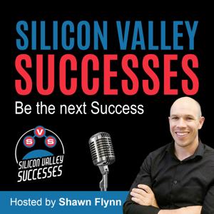Silicon Valley Successes