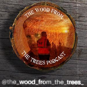 The Wood From The Trees by David Cuddy