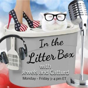 In the Litter Box by Jewels Jones & Catturd
