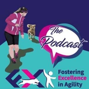 Fostering Excellence in Agility by Megan Foster