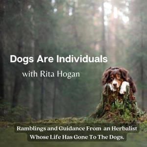 Dogs Are Individuals by Rita Hogan