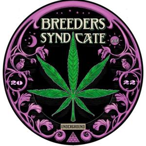 Breeders Syndicate 2.0 by Matthew Riot