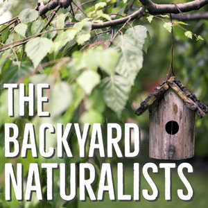 The Backyard Naturalists by Debbie Foster and Laurie Horne