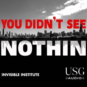 You Didn't See Nothin by USG Audio