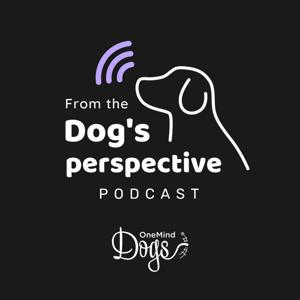 OneMind Dogs - From the Dog's Perspective by OneMind Dogs