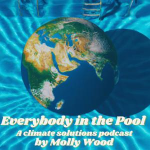 Everybody in the Pool by Molly Wood
