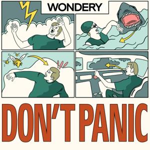 Don't Panic with Anthony Atamanuik by Wondery