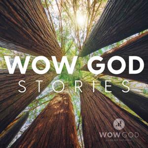 Wow God Stories by Lisa Williams and Ann Sorenson