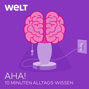 Aha! Zehn Minuten Alltags-Wissen by WELT