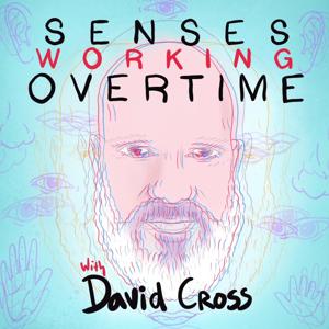 Senses Working Overtime with David Cross by Headgum