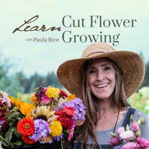 Learn Cut Flower Growing | Lessons from a seasoned farmer by Paula Rice