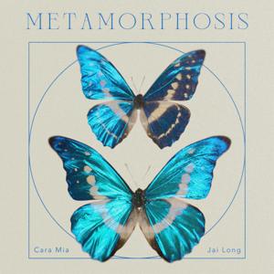 Metamorphosis by Jai Long