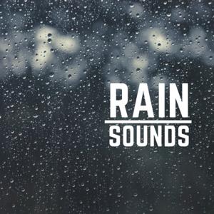 Rain Sounds by Sleepy Sound