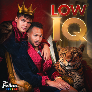 Low IQ by The Fellas Studios