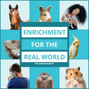 Enrichment for the Real World by Pet Harmony
