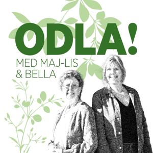 ODLA! by med Maj-Lis Pettersson & Bella Linde