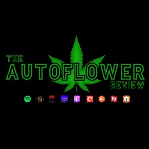 The Autoflower Review Podcast by The Autoflower Review