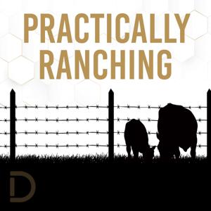 Practically Ranching by Matt Perrier