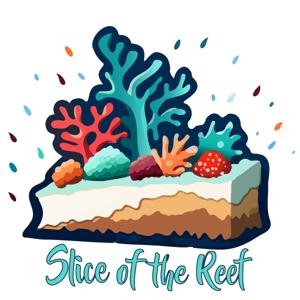 Slice of the Reef