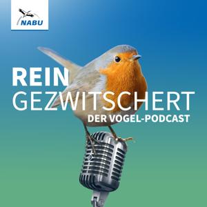 REINGEZWITSCHERT – der Vogel-Podcast by NABU