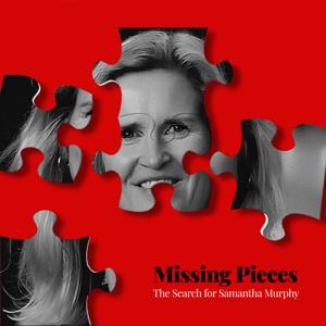 Missing Pieces by Podshape