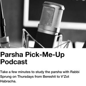 Parsha Pick-Me-Up by Yitzchak Sprung