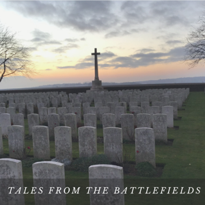 Tales from the Battlefields by Terry Whenham