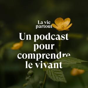 La vie partout by Quentin Travaillé