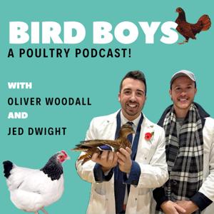 BirdBoys - A Poultry Podcast! by Jed Dwight